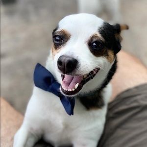 Meet your Posher, Esther